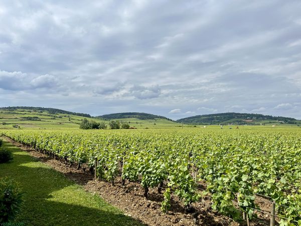 Sur la Route des Grands Crus à Beaune, Bourgogne-Franche-Comté - été 2022