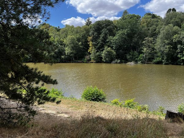 Étang de l'Épinay à Forges-les-Eaux, Normandie - été 2026