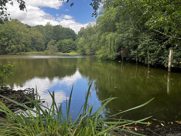 Étang de l'Épinay à Forges-les-Eaux, Normandie - été 2026