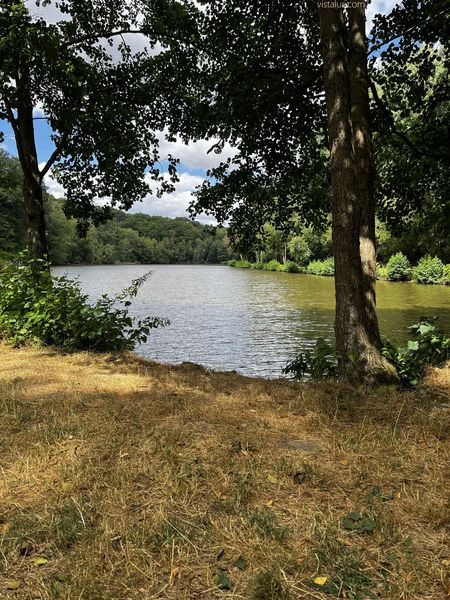 Étang de l'Épinay à Forges-les-Eaux, Normandie - été 2026