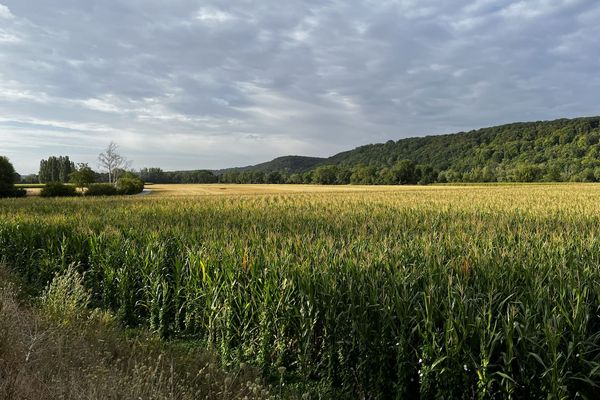 Sur le Chemin des Ajoux à Giverny, Normandie - été 2026