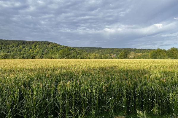 Sur le Chemin des Ajoux à Giverny, Normandie - été 2026